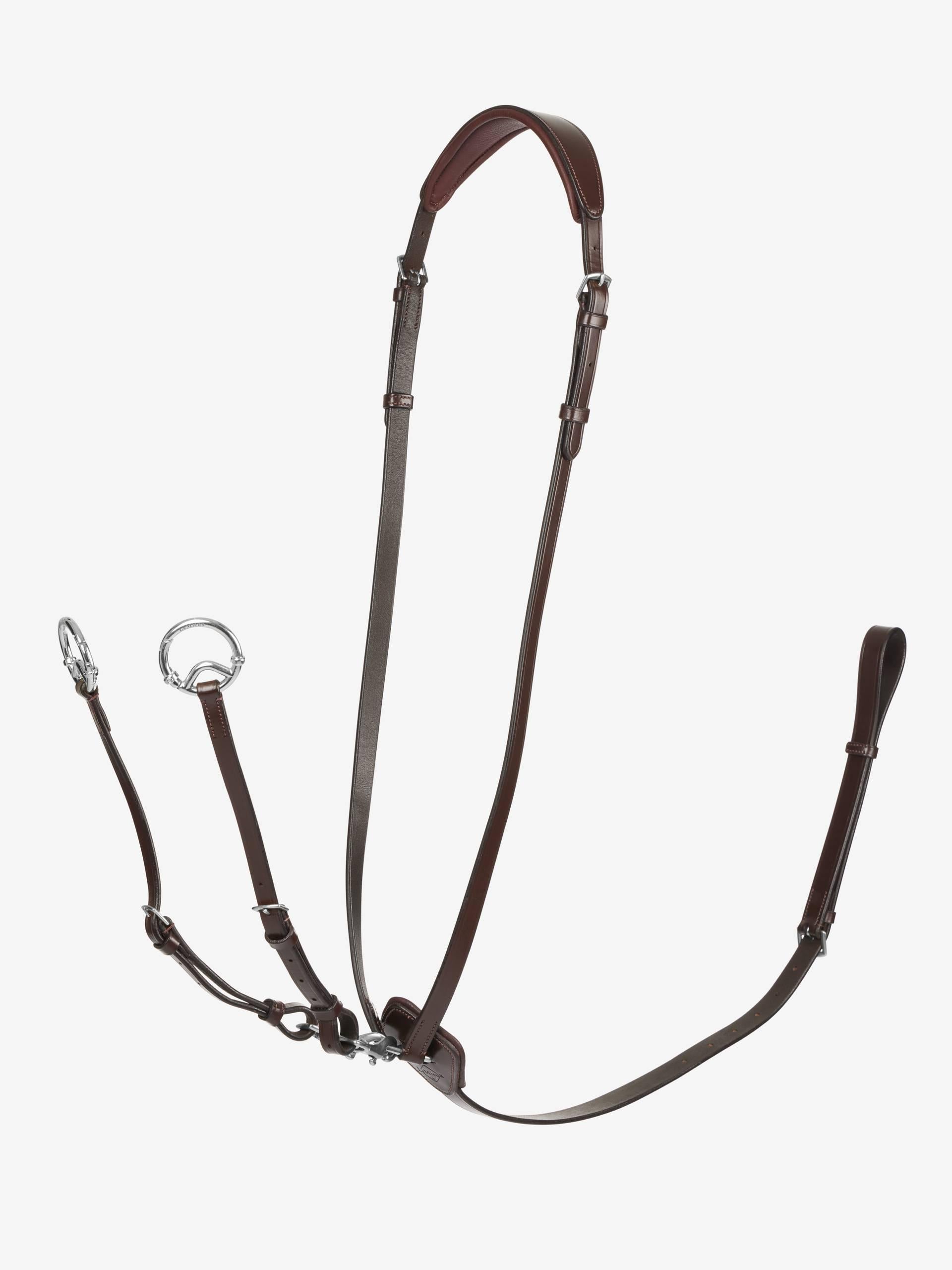 Lemieux Kudos Running Martingale