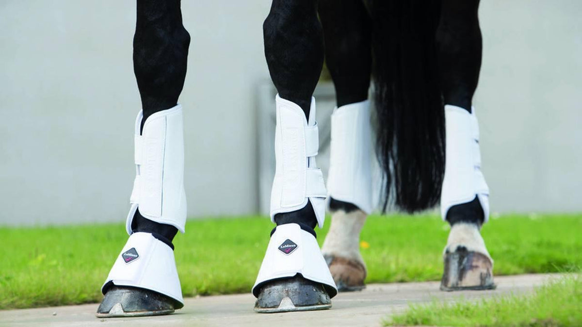 LeMieux Schooling Boots