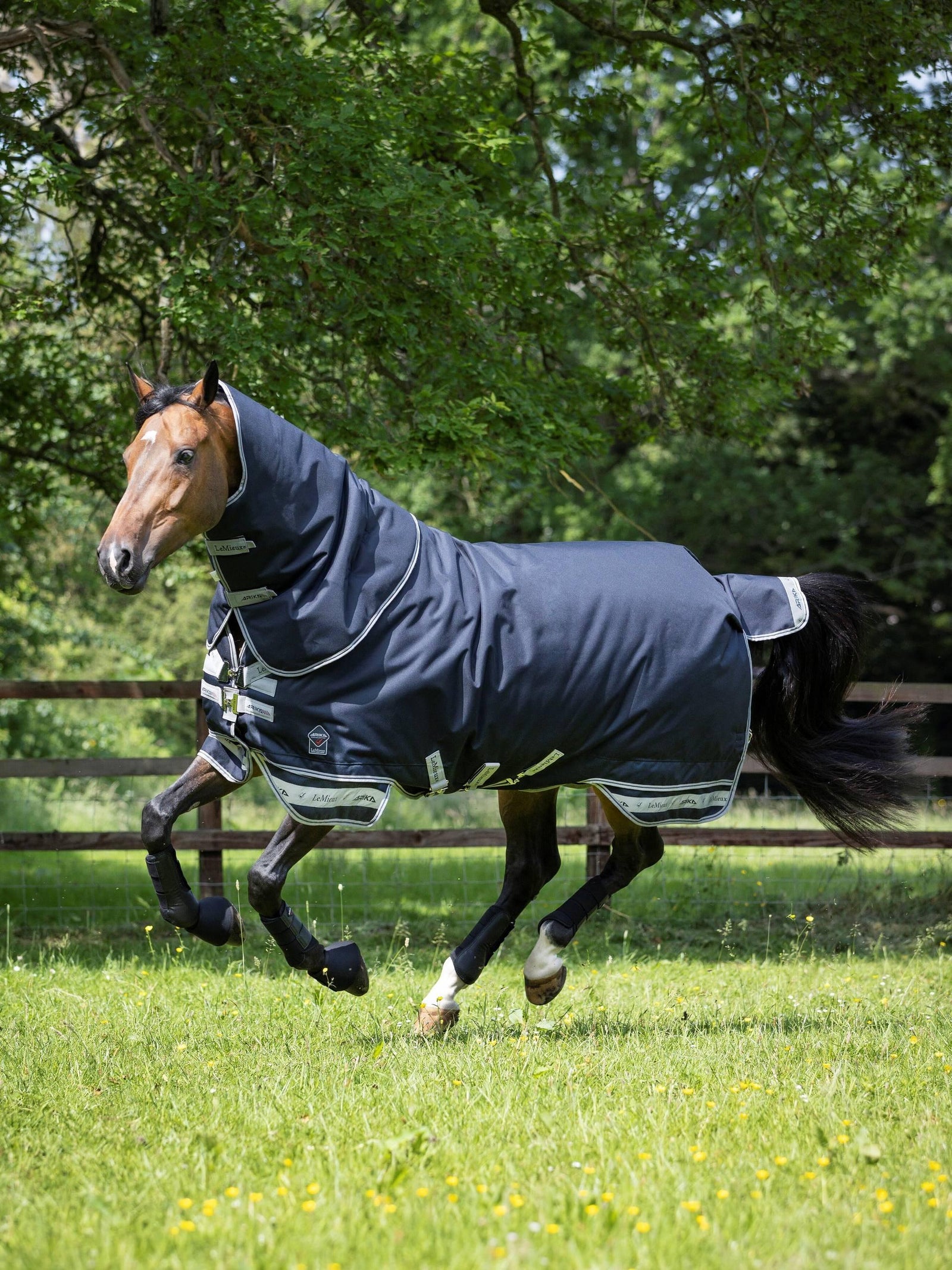 LeMieux Arika Storm-Tek Rug 200g - Navy