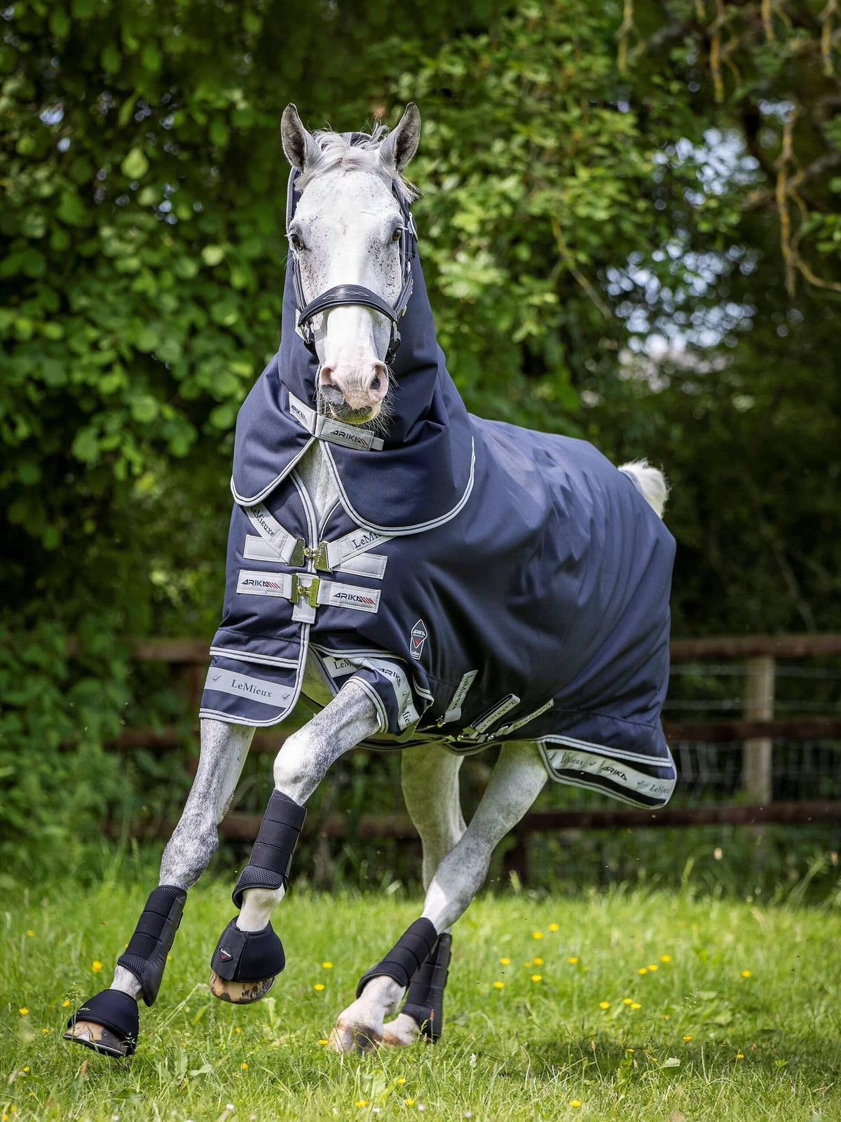 LeMieux Arika Storm-Tek Rug 200g - Navy