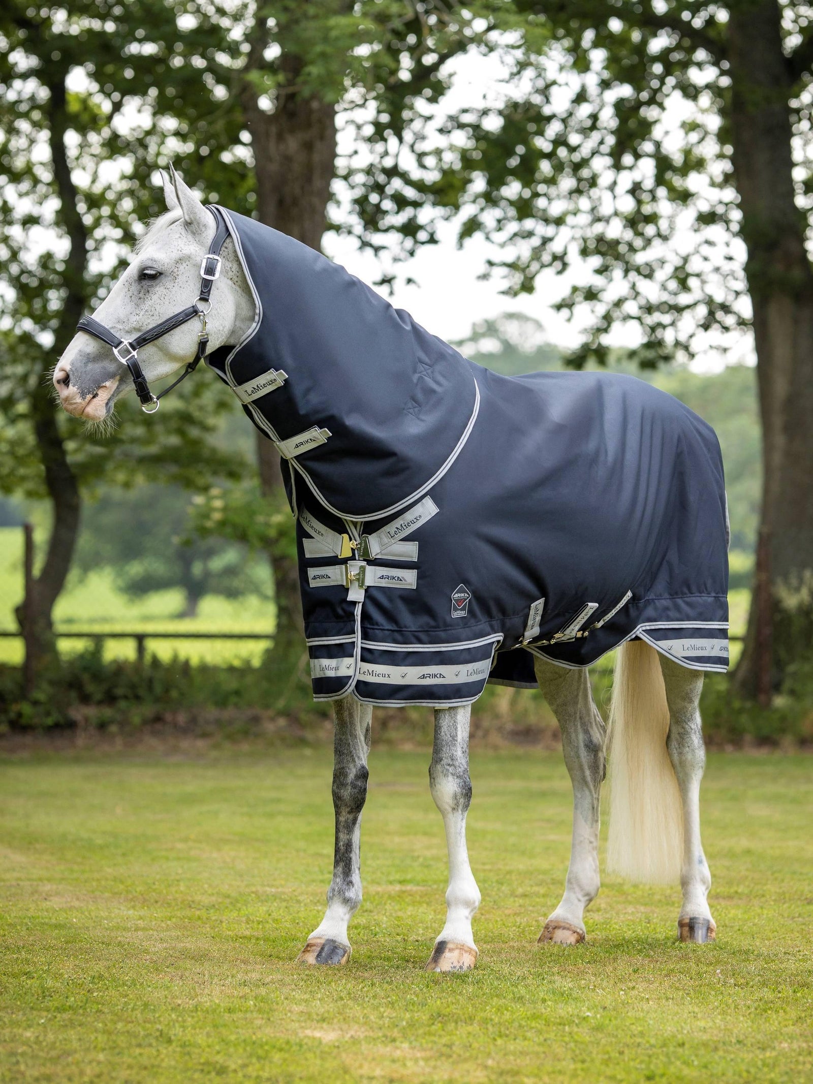 LeMieux Arika Storm-Tek Rug 50g - Navy