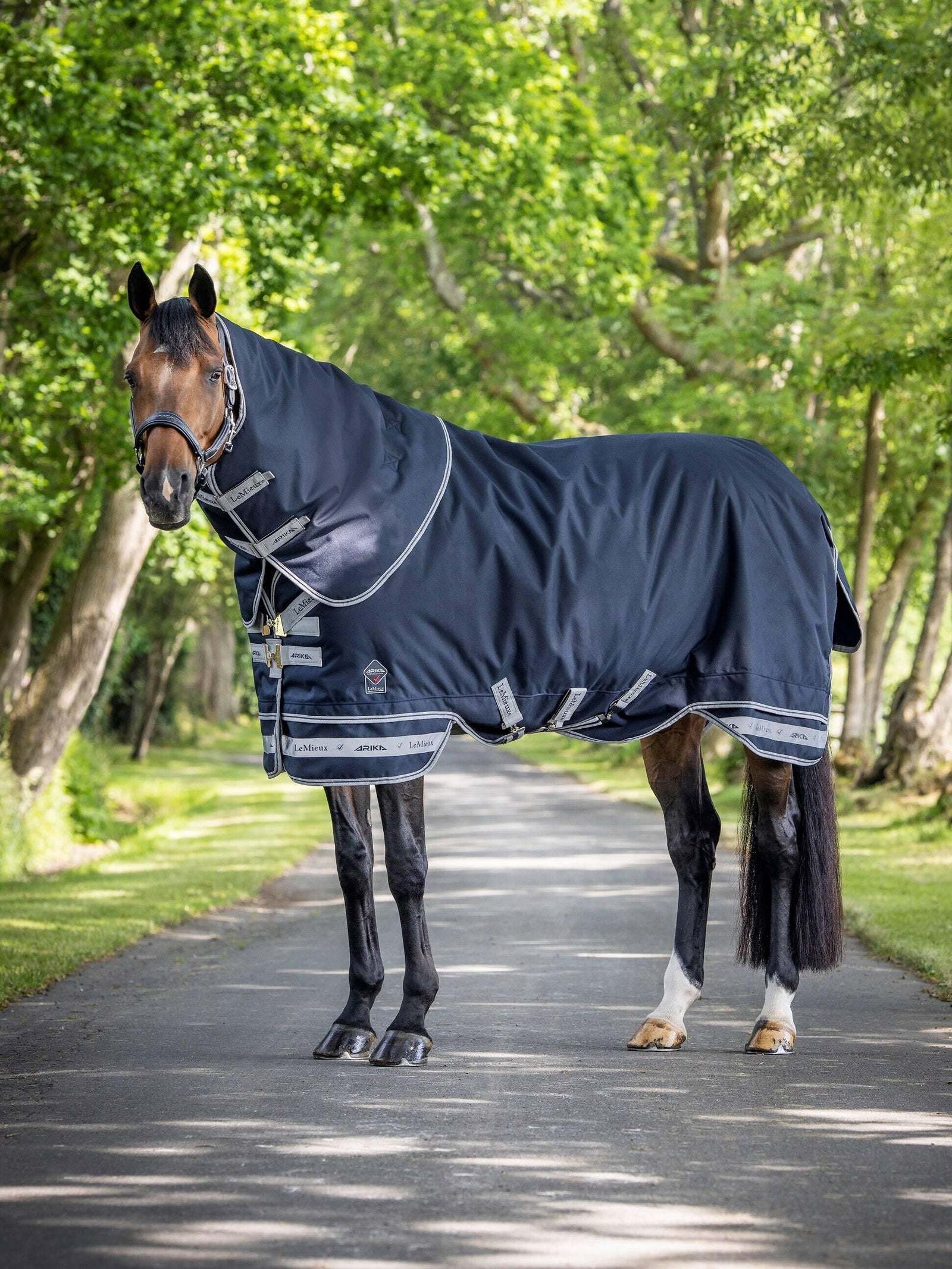 LeMieux Arika Storm-Tek Rug 100g - Navy