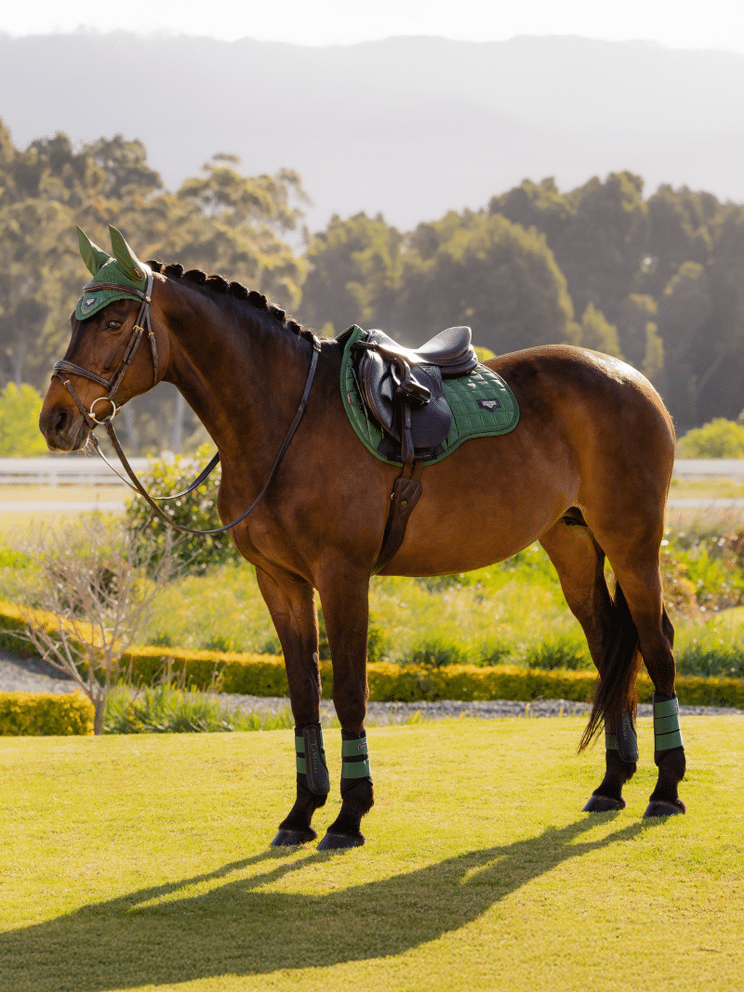 Loire Classic GP Square - Nags Essentials