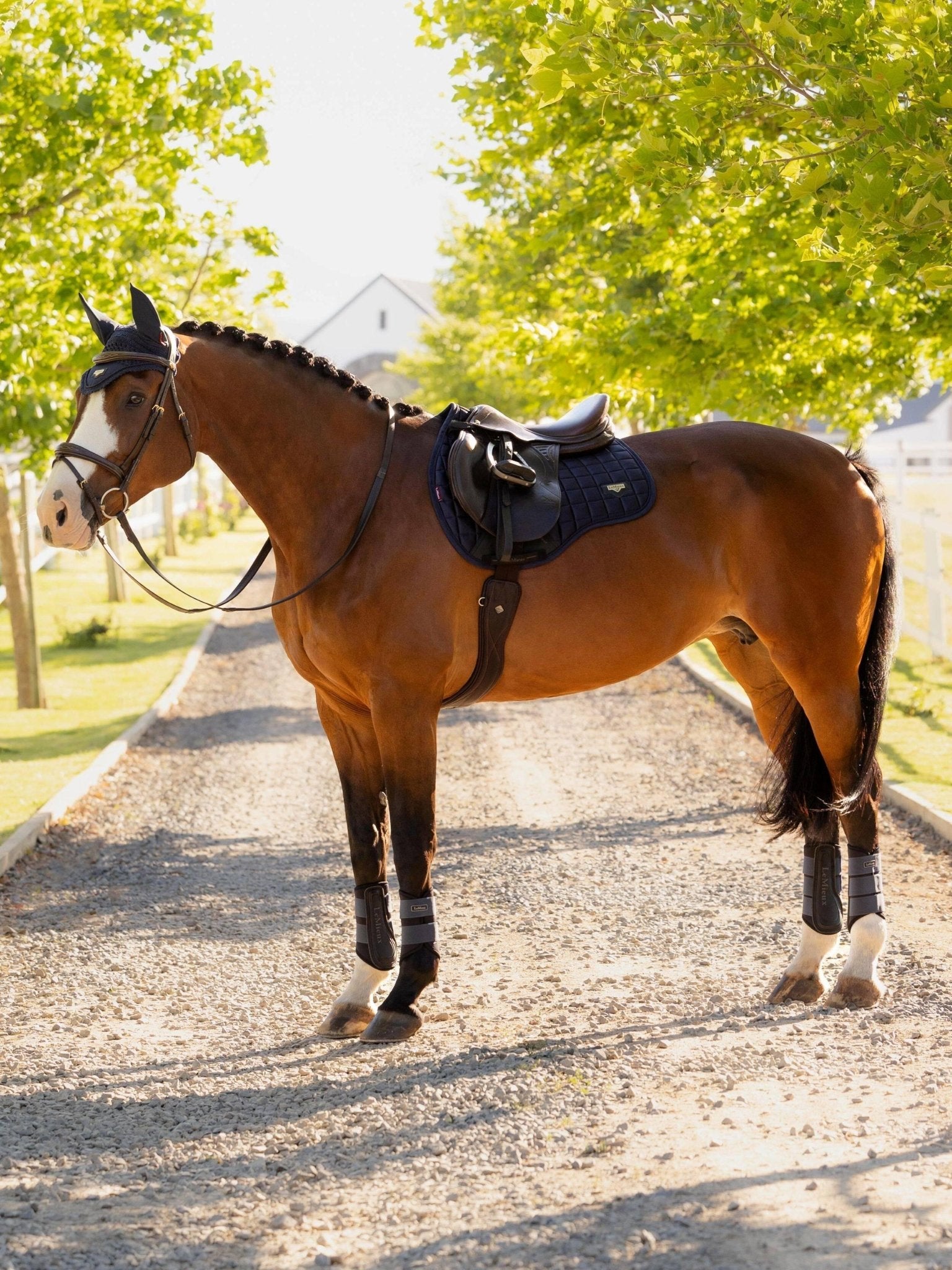 Loire Classic GP Square - Nags Essentials
