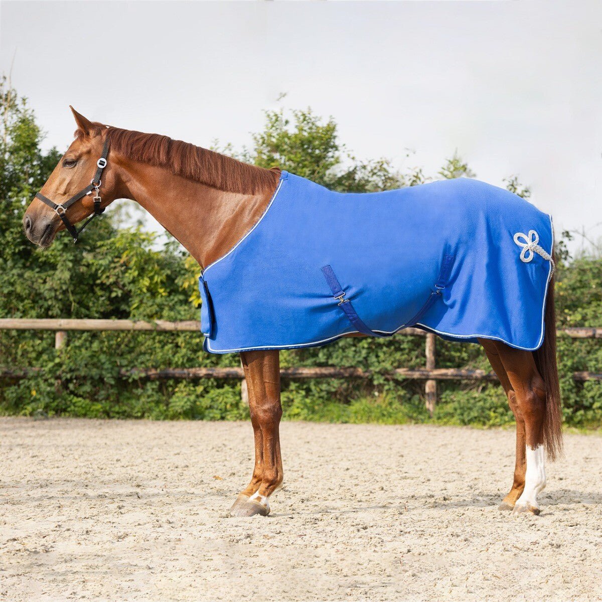 Luxury Fleece Show Rug - Nags Essentials