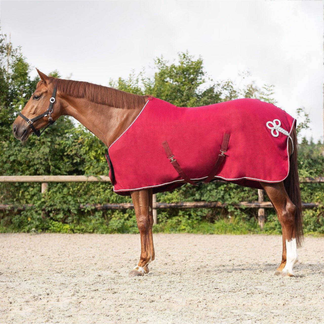 Luxury Fleece Show Rug - Nags Essentials