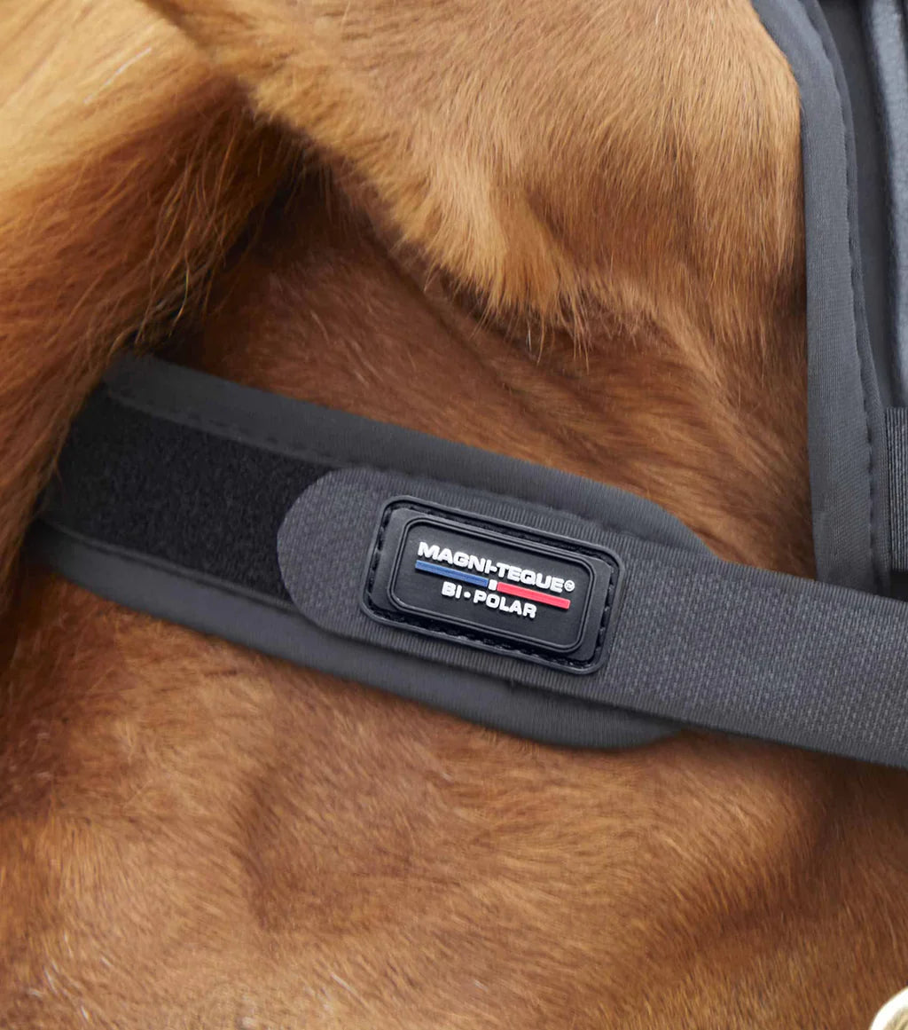 Premier Equine Magni-Teque Magnetic Browband