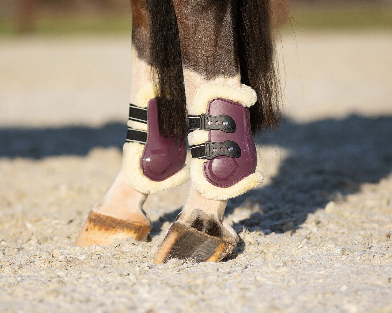 Menton Fetlock Boots - Nags Essentials