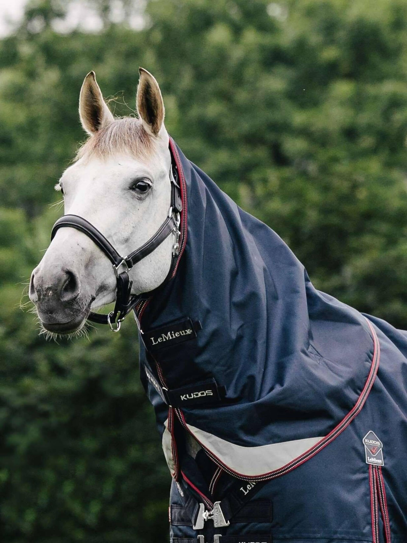 LeMieux Kudos Turnout Neck Cover 50g - Navy
