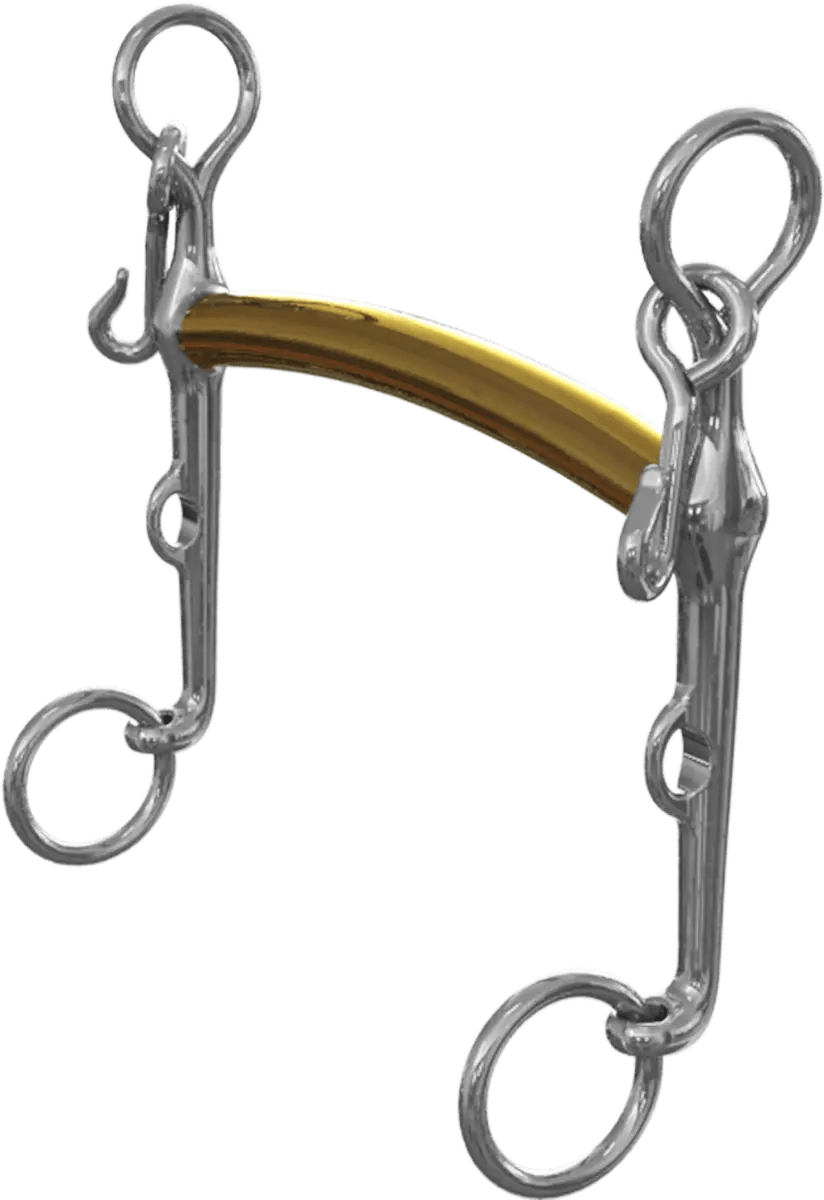Neue Schule Thoroughbred Weymouth - Nags Essentials