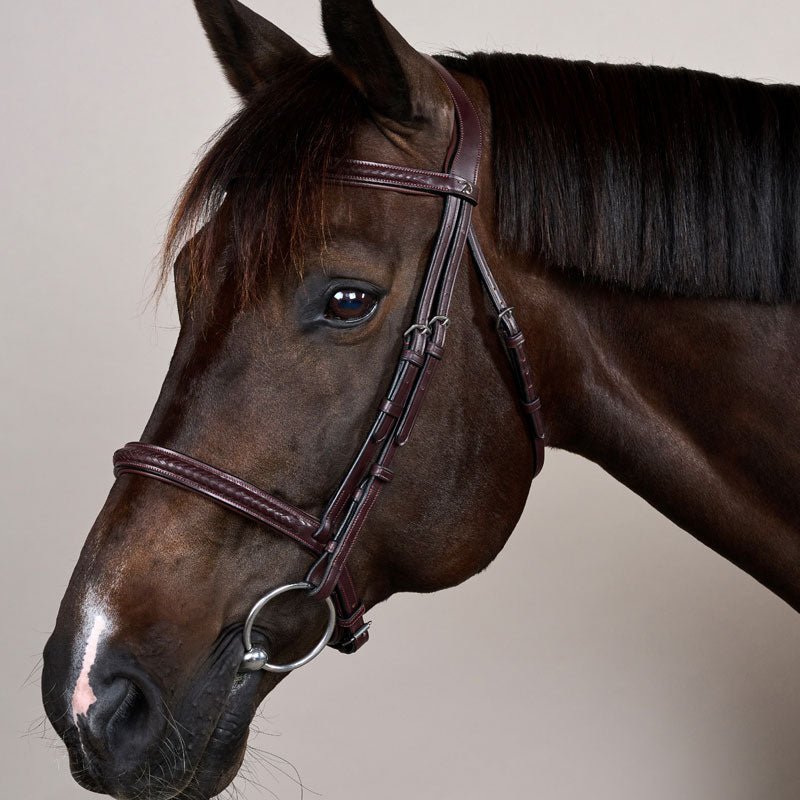 New English Plaited Noseband Bridle Without Flash - Nags Essentials