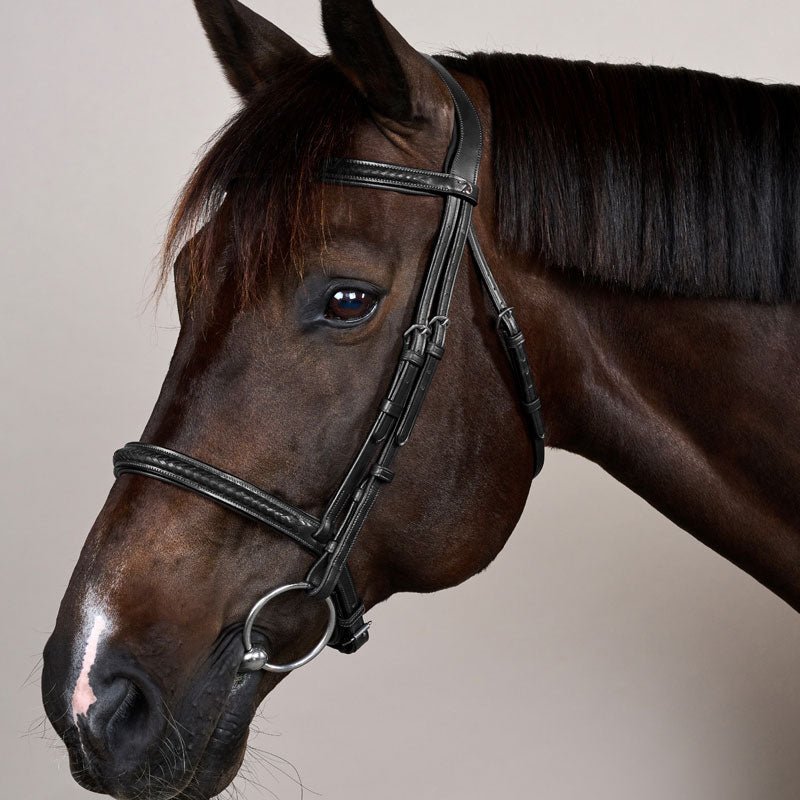 New English Plaited Noseband Bridle Without Flash - Nags Essentials