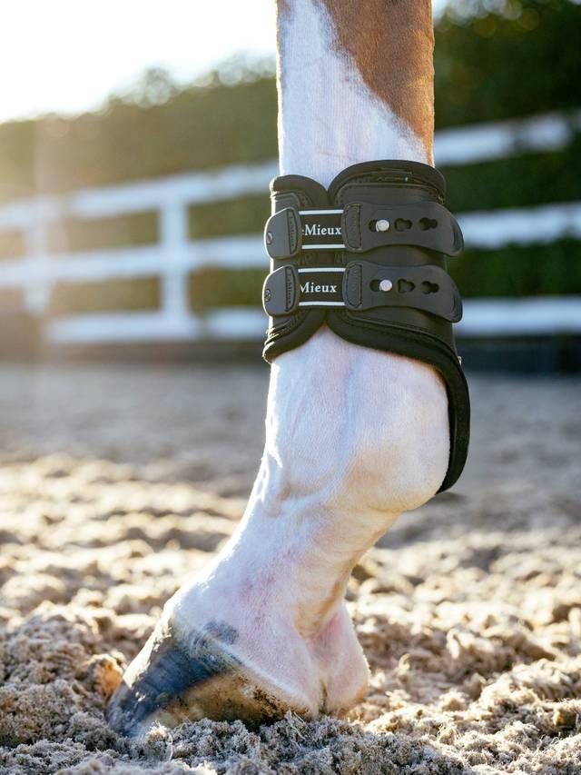 LeMieux Exo-Flex® Fetlock Boot