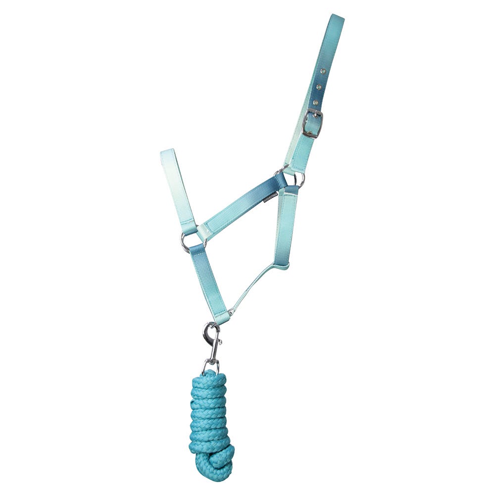 Ombre Head Collar & Lead Rope - Nags Essentials