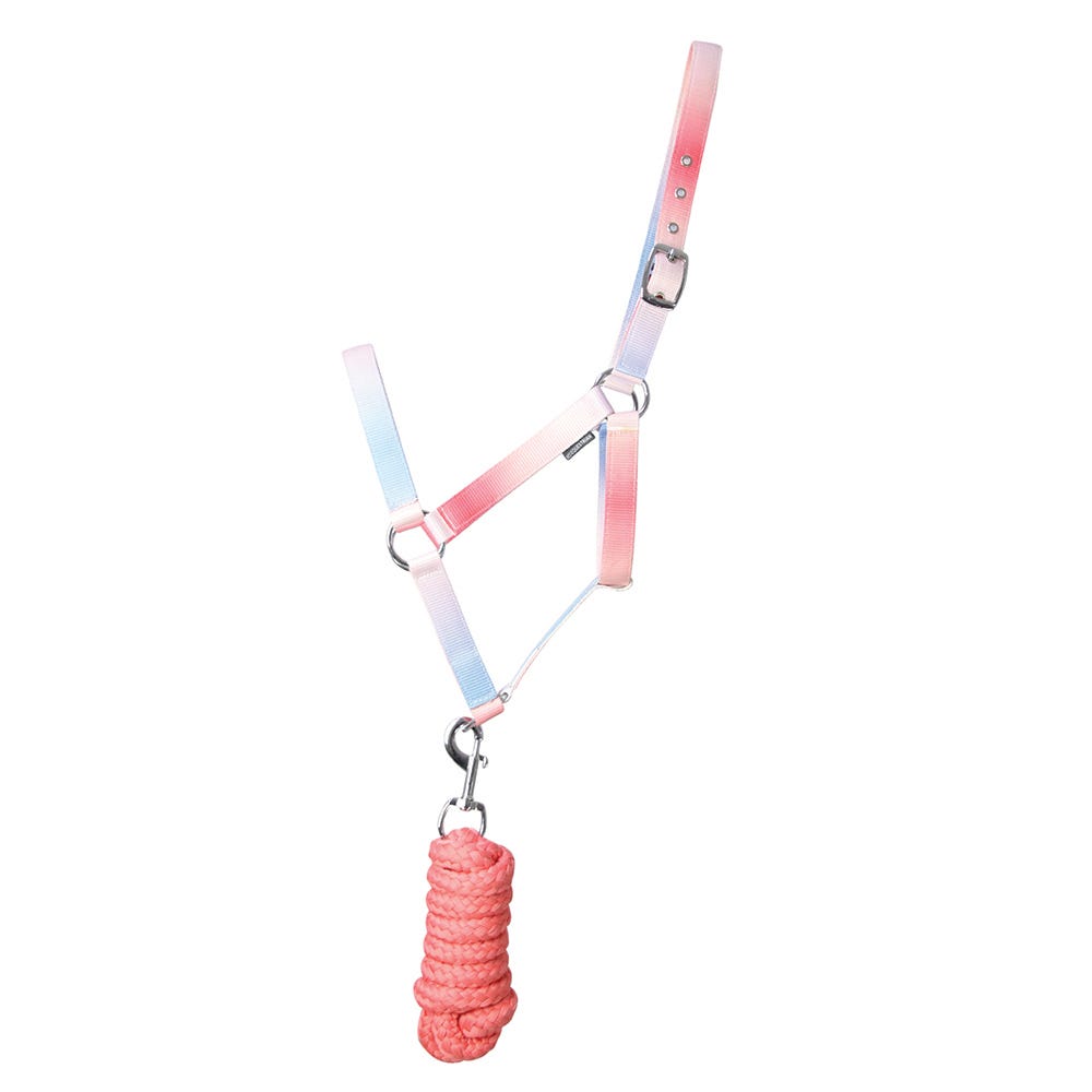Ombre Head Collar & Lead Rope - Nags Essentials