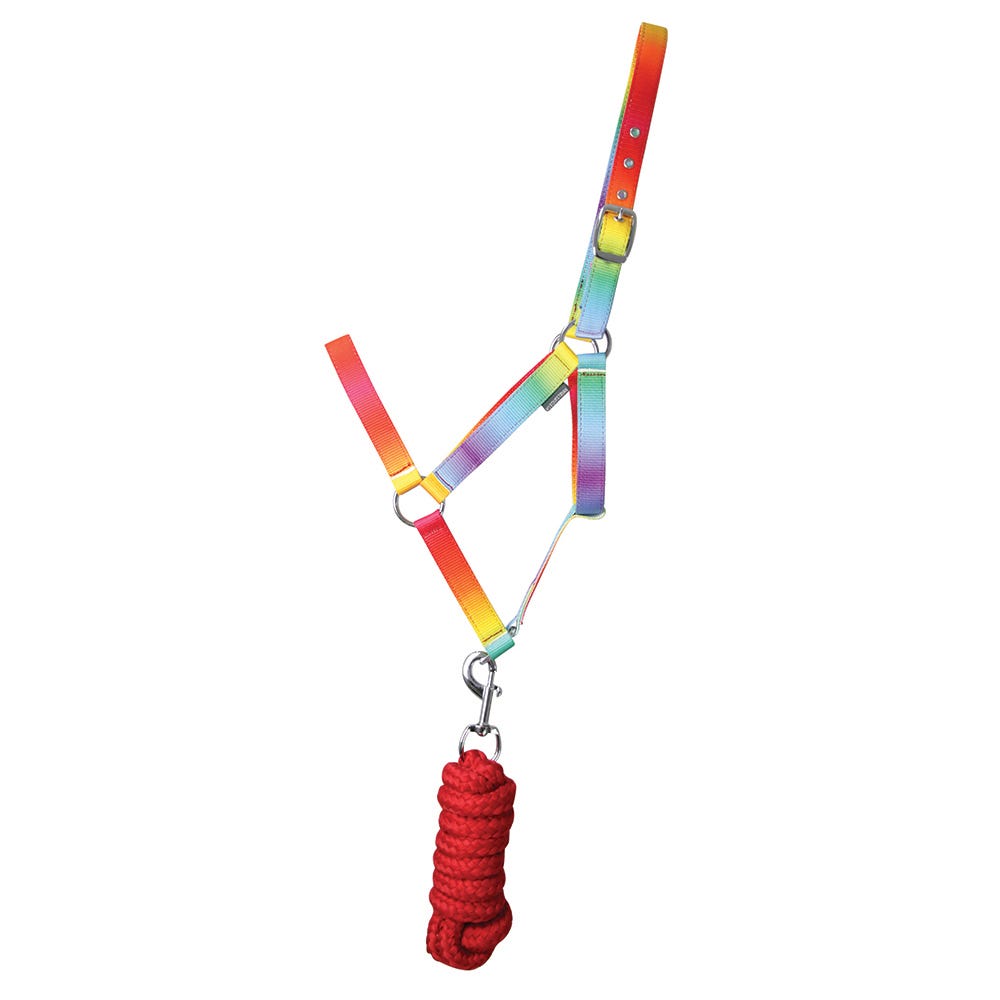 Ombre Head Collar & Lead Rope - Nags Essentials