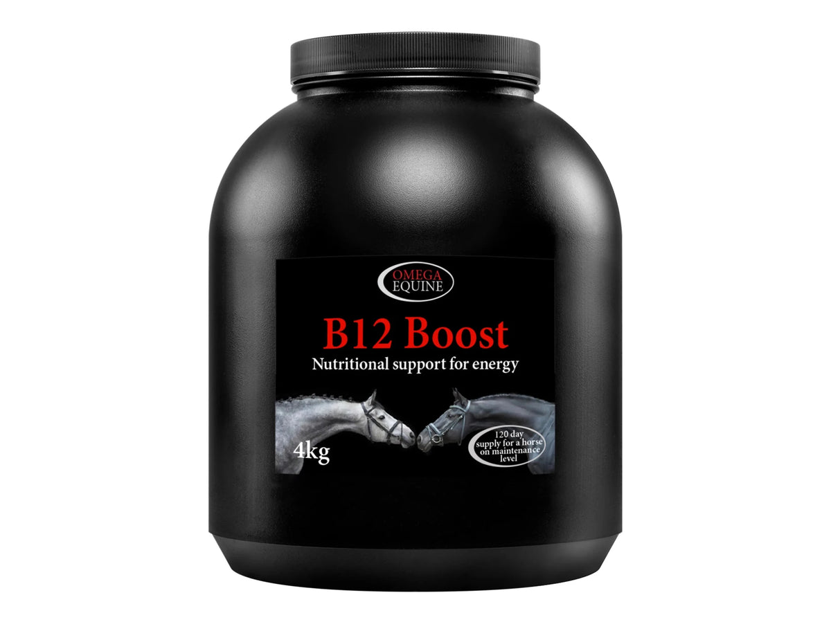 Omega B12 Boost - Nags Essentials