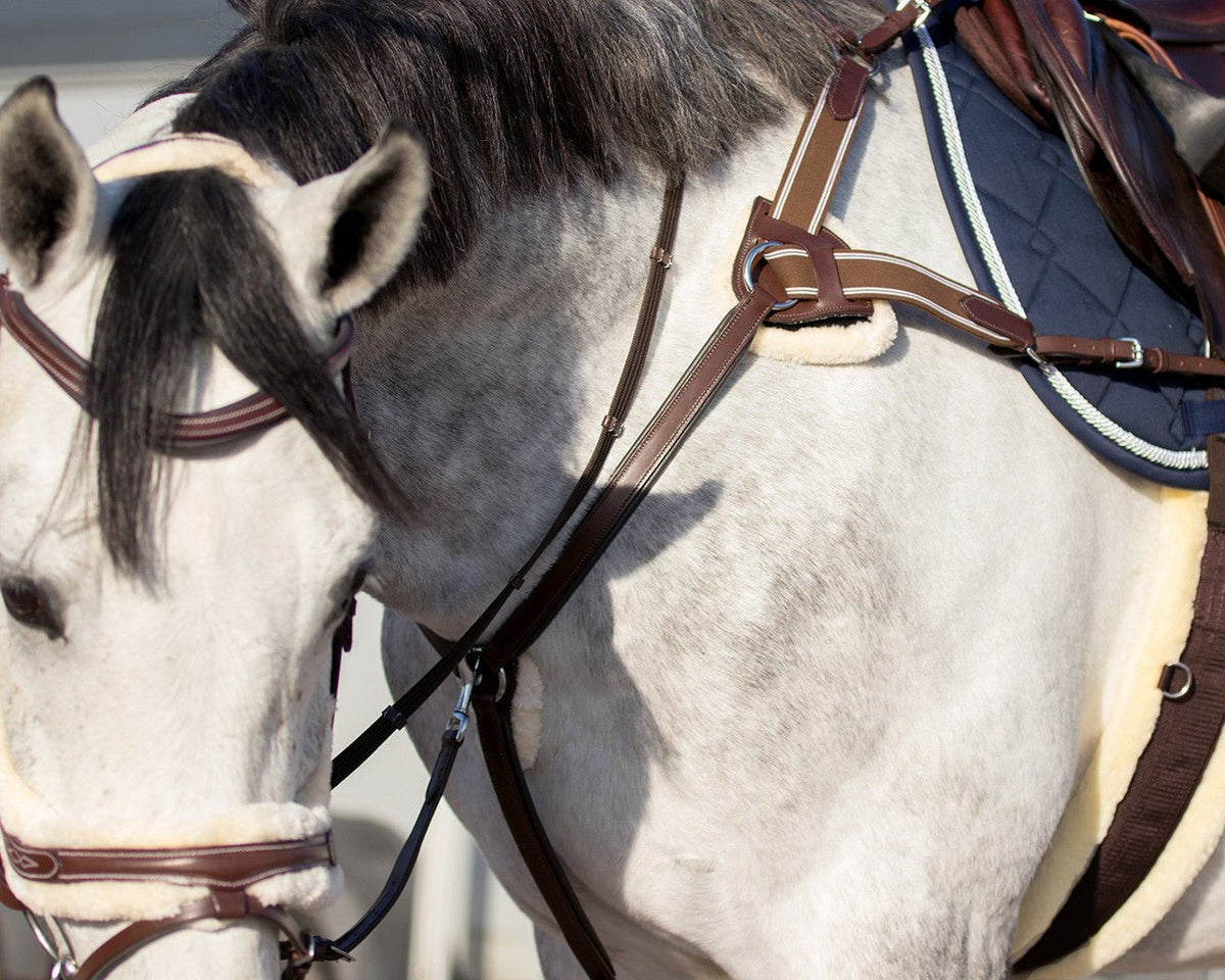 Ontario Bridle - Nags Essentials