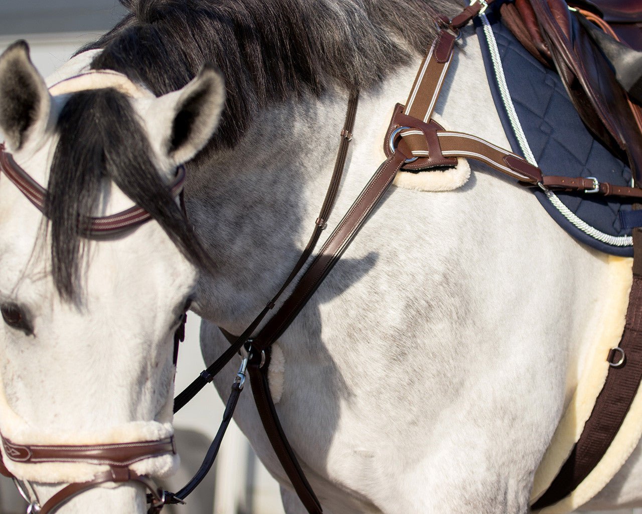 Ontario Bridle - Nags Essentials