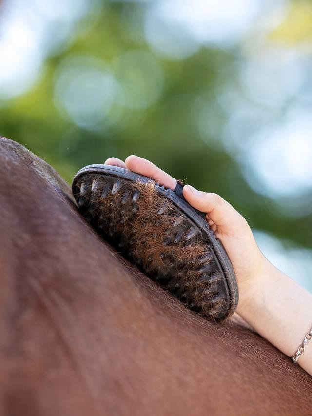 LeMieux Flexi Massage Brush