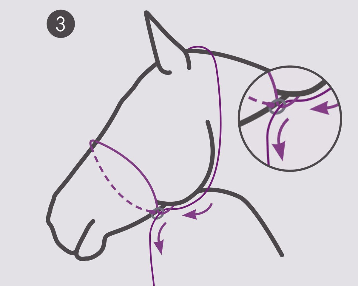 Photography halter - Nags Essentials