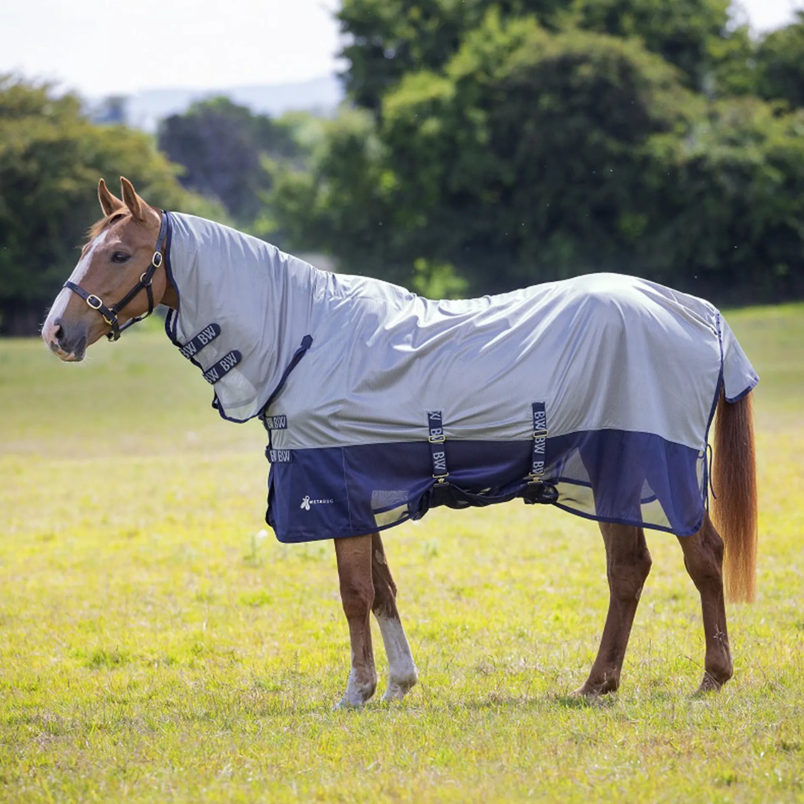Bridleway Metabug Fly Combo Rug