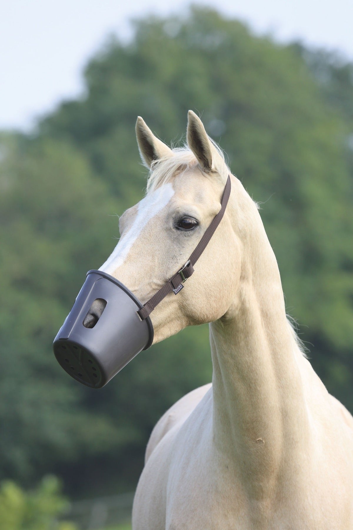 Plastic Muzzle - Nags Essentials