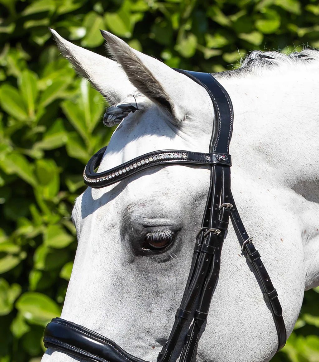 Premier Equine Abriano Anatomic Double Bridle Black - Nags Essentials