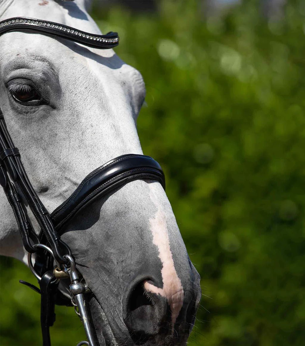 Premier Equine Abriano Anatomic Double Bridle Black - Nags Essentials