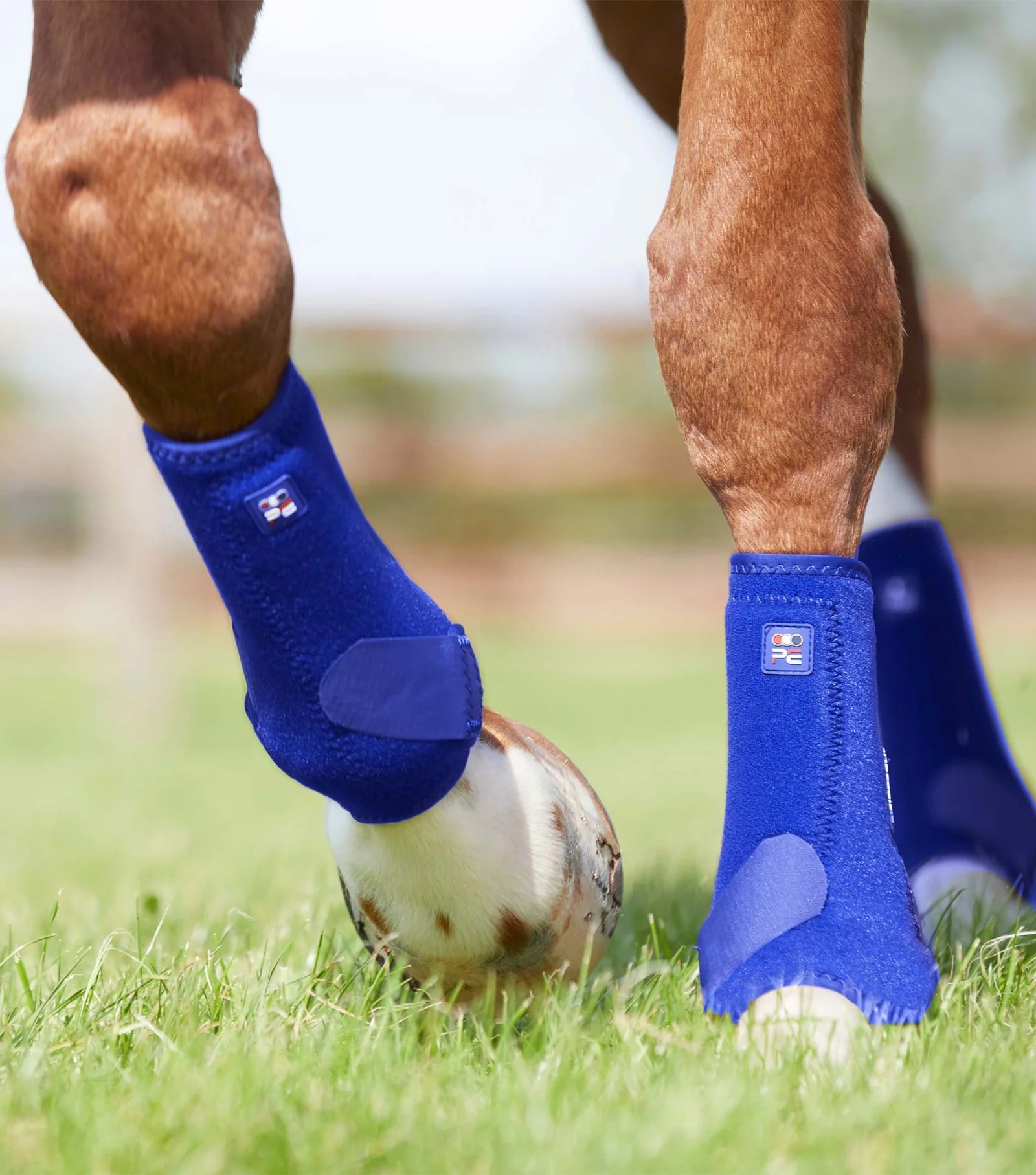 Premier Equine Air-Tech Sports Medicine Boots - Nags Essentials