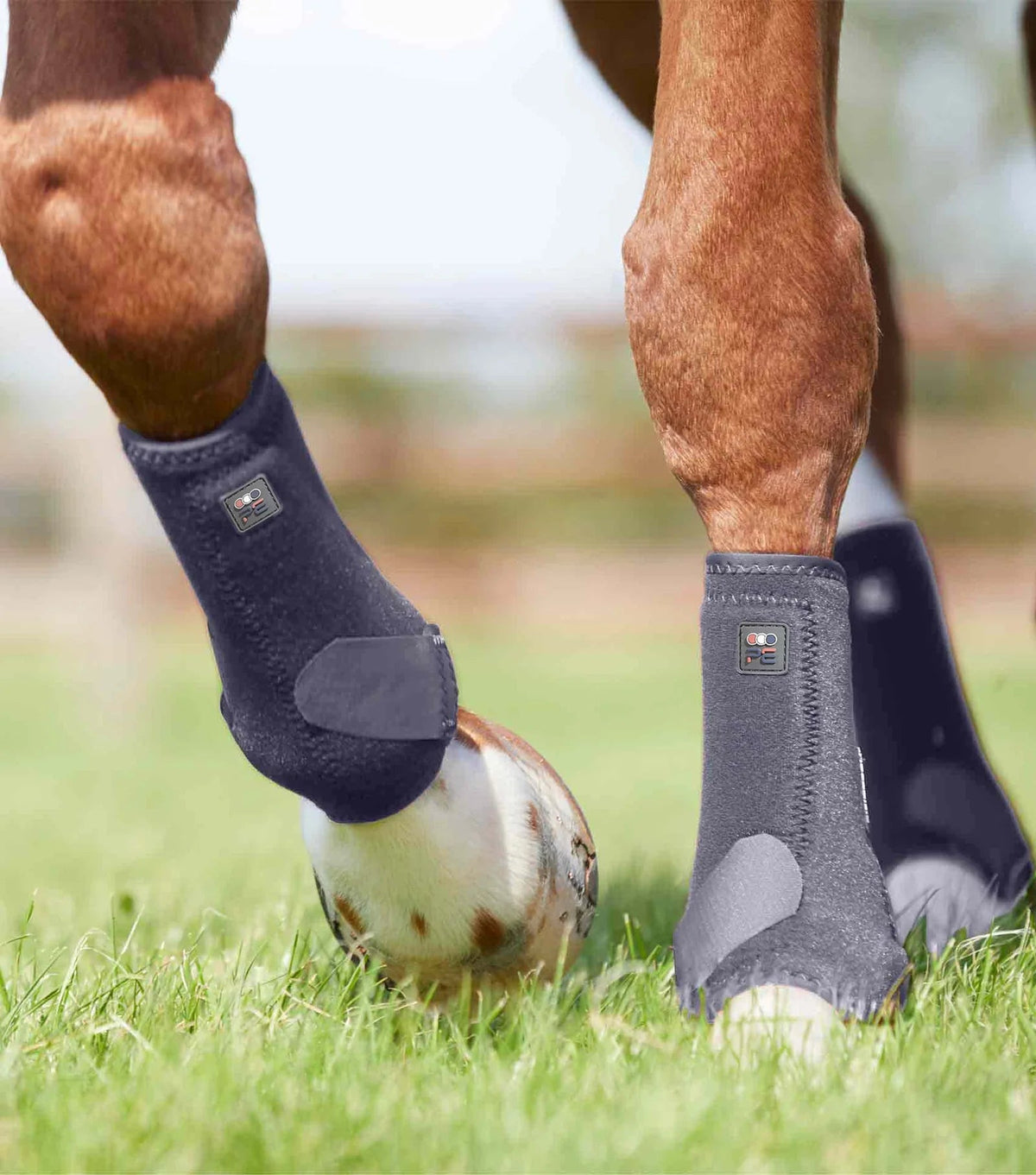 Premier Equine Air-Tech Sports Medicine Boots - Nags Essentials