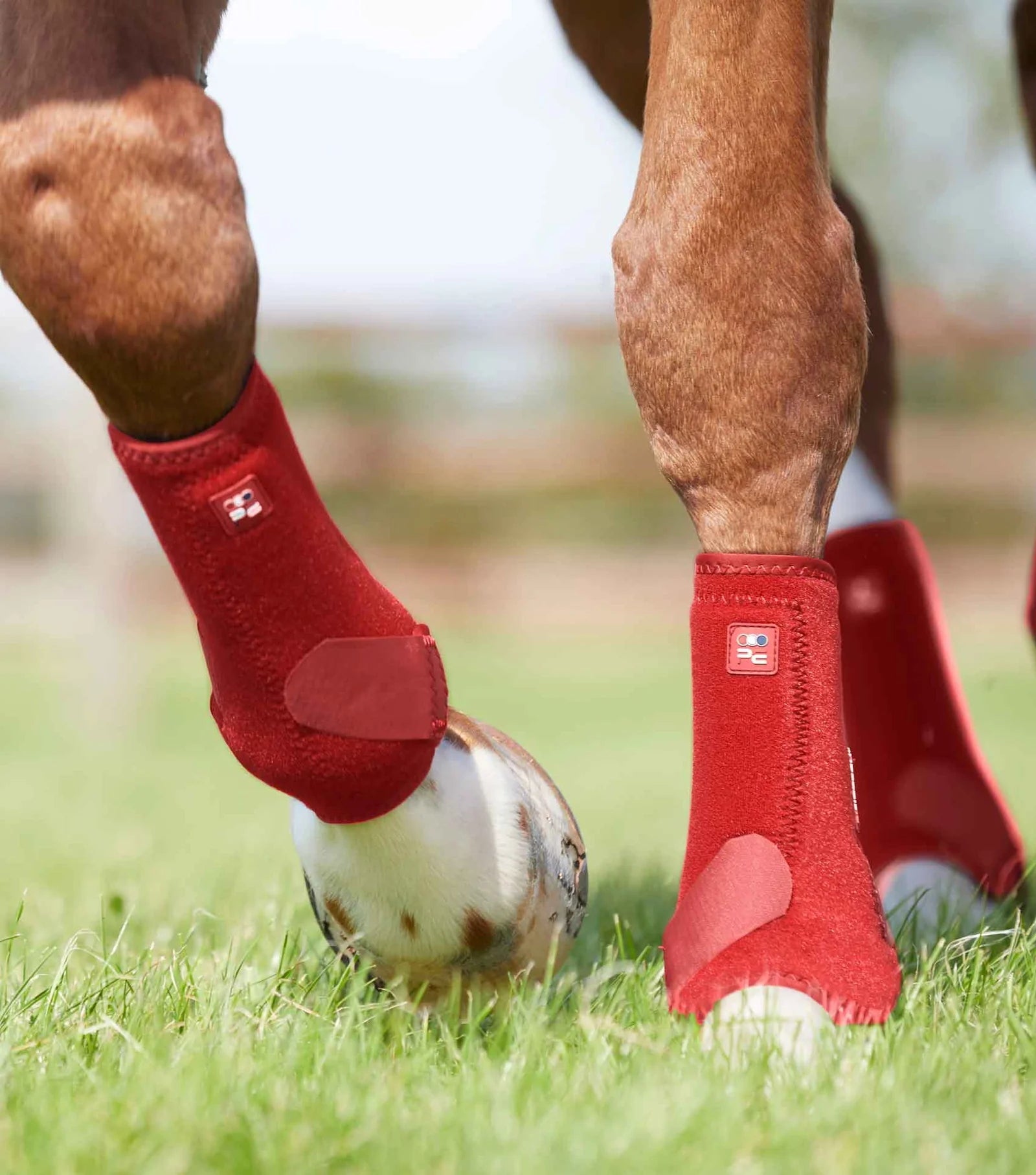 Premier Equine Air-Tech Sports Medicine Boots - Nags Essentials