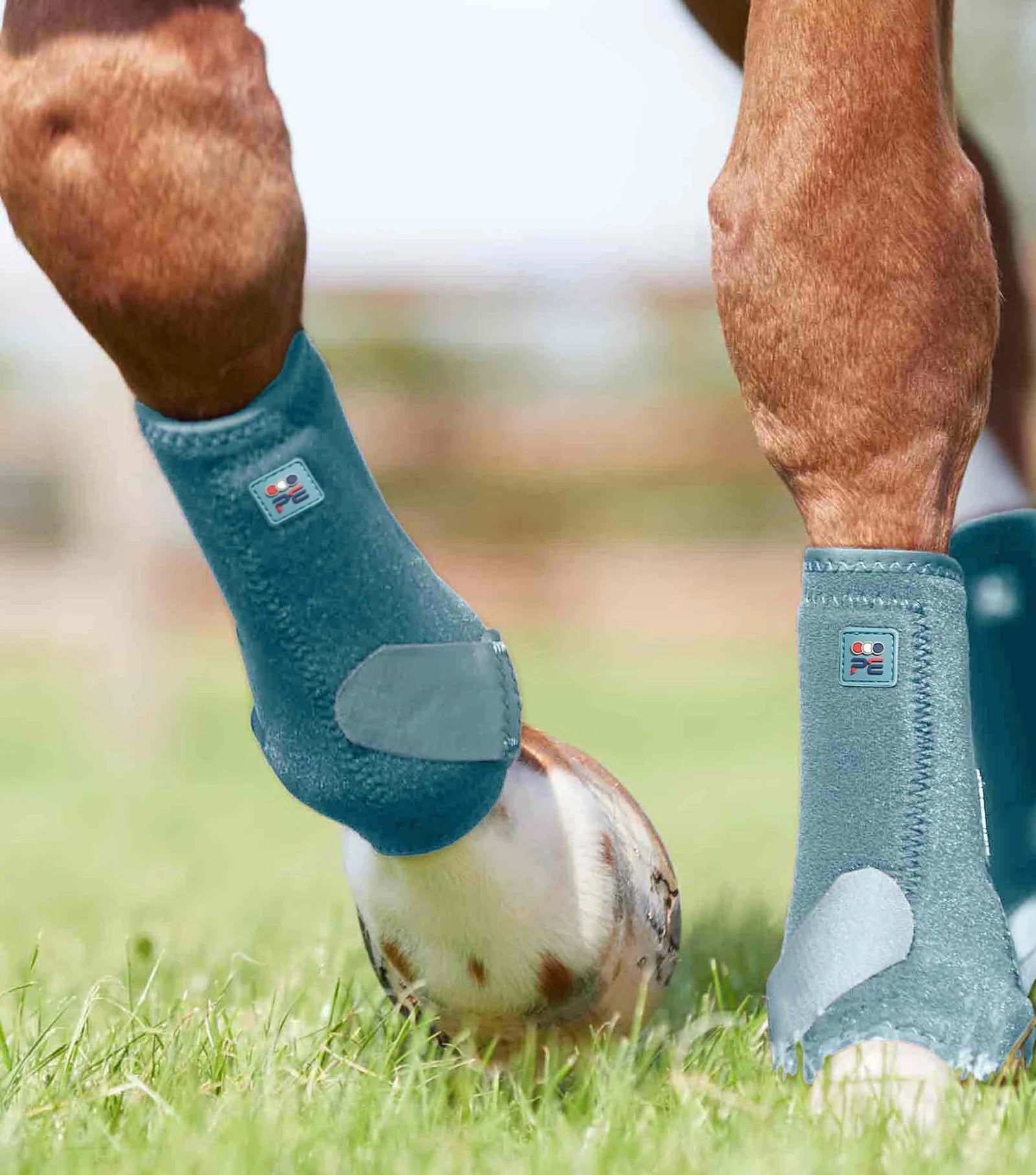 Premier Equine Air-Tech Sports Medicine Boots - Nags Essentials