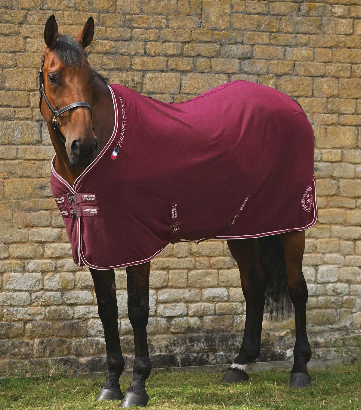 Premier Equine Airtech Horse Cooler Rug - Nags Essentials