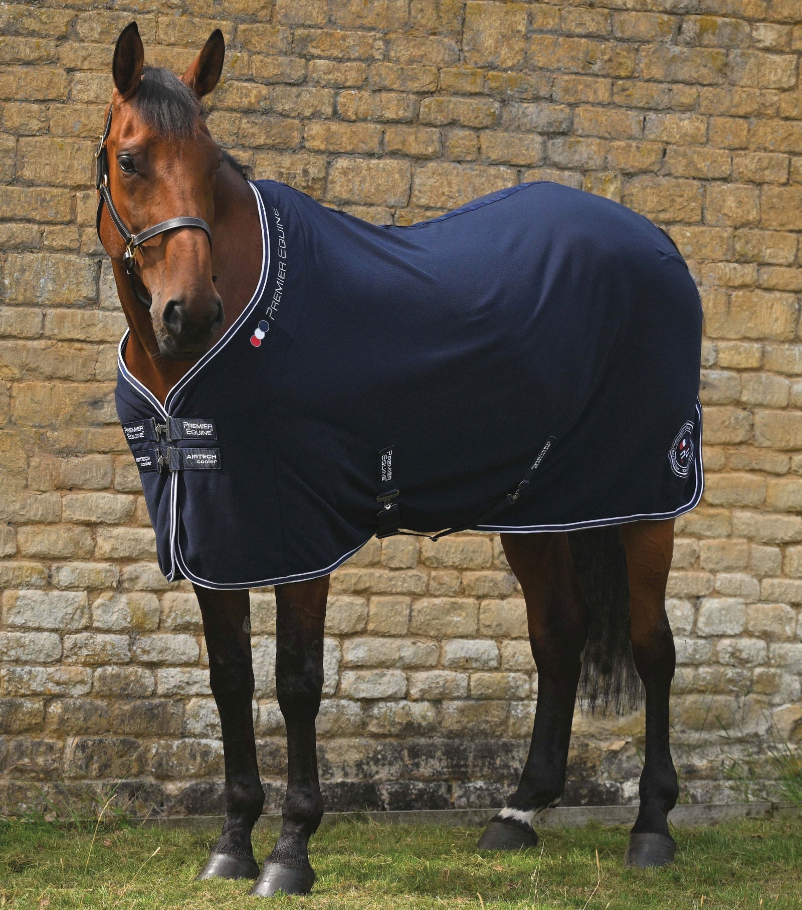 Premier Equine Airtech Horse Cooler Rug - Nags Essentials