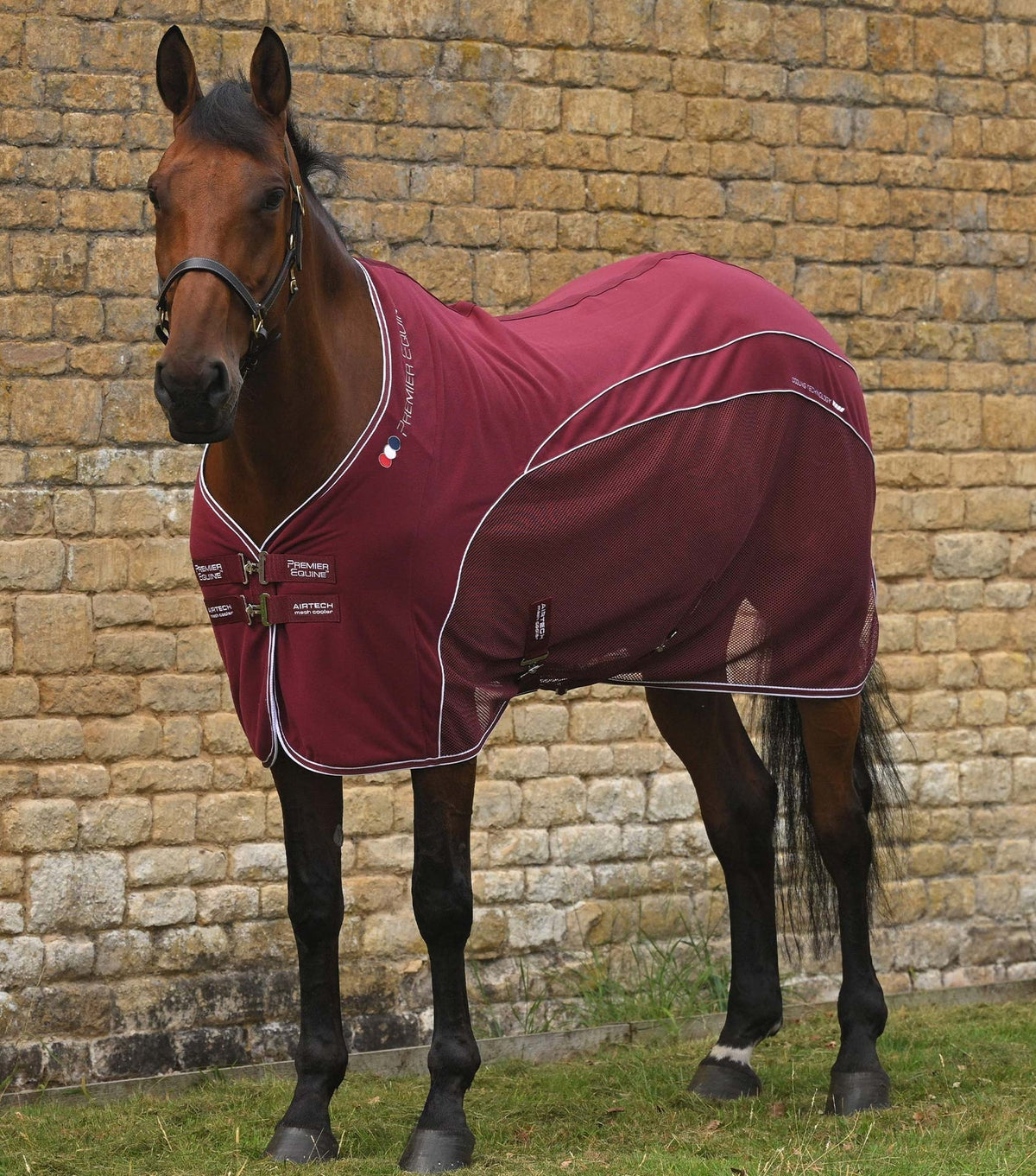 Premier Equine Airtech Horse Cooler Rug - Nags Essentials