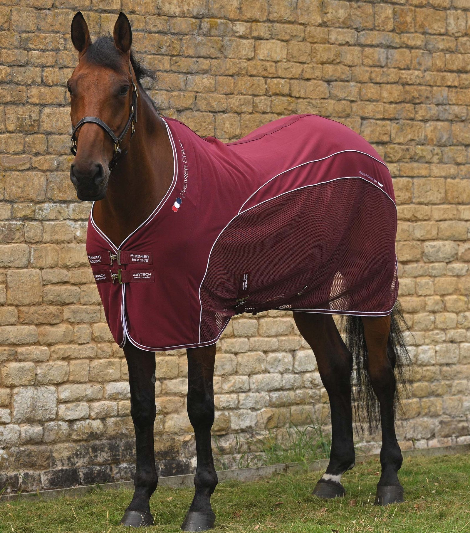 Premier Equine Airtech Horse Cooler Rug - Nags Essentials