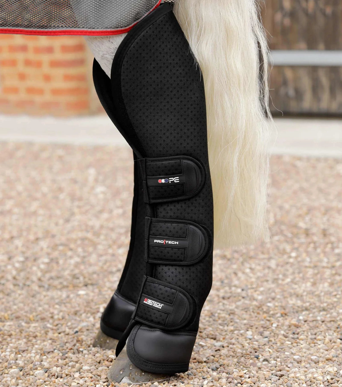 Premier Equine Airtechnology Knee Pro-Tech Horse Travel Boots - Nags Essentials