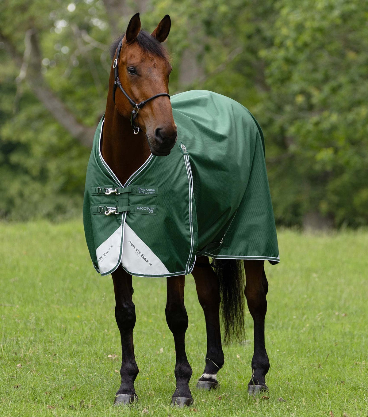 Premier Equine Akoni 0g Turnout Rug - Nags Essentials