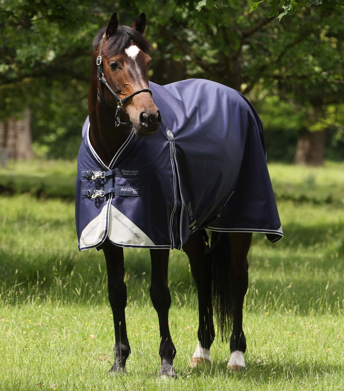 Premier Equine Akoni 0g Turnout Rug - Nags Essentials