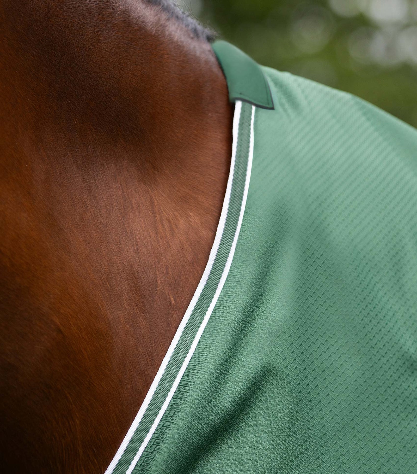 Premier Equine Akoni 0g Turnout Rug - Nags Essentials