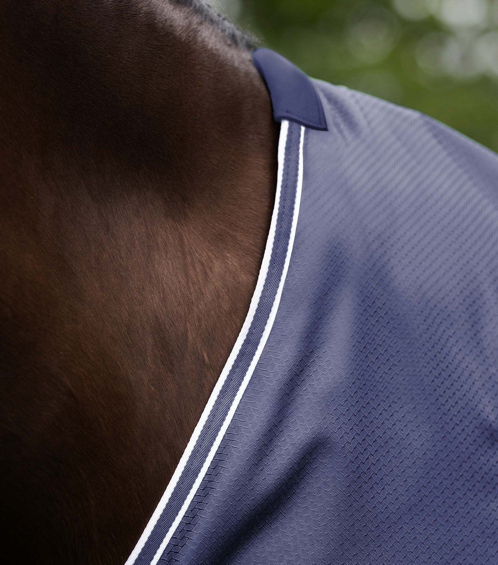 Premier Equine Akoni 0g Turnout Rug - Nags Essentials