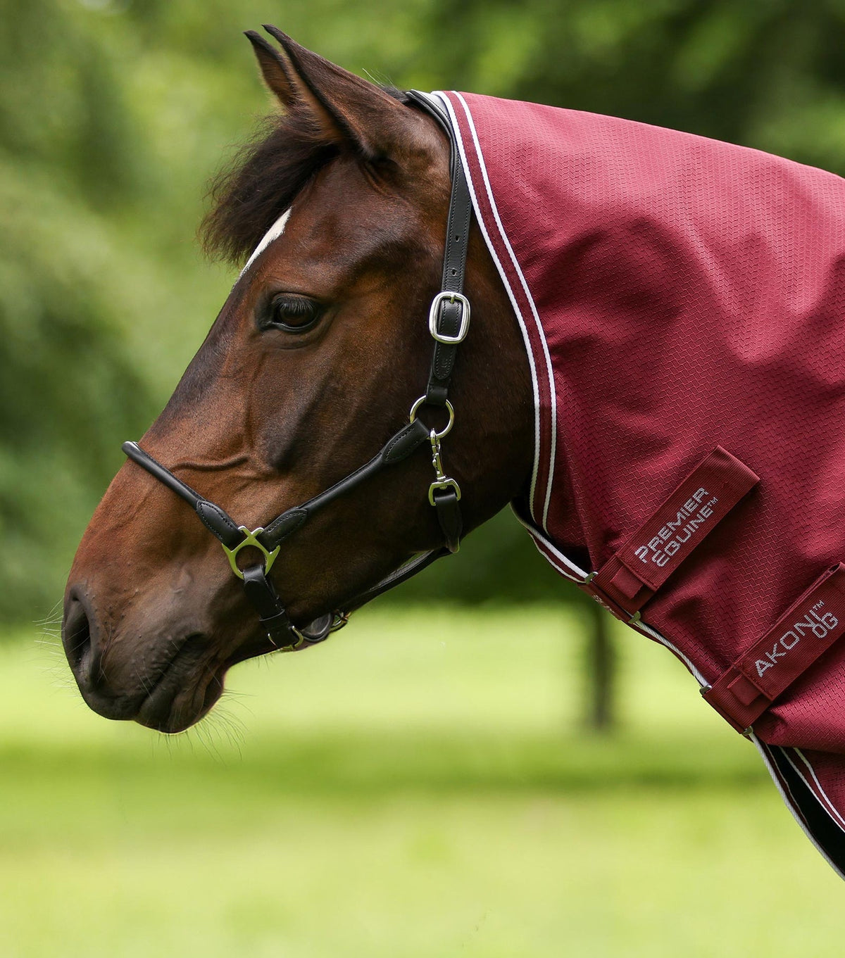 Premier Equine Akoni 0g Turnout Rug with Classic Neck Cover - Nags Essentials