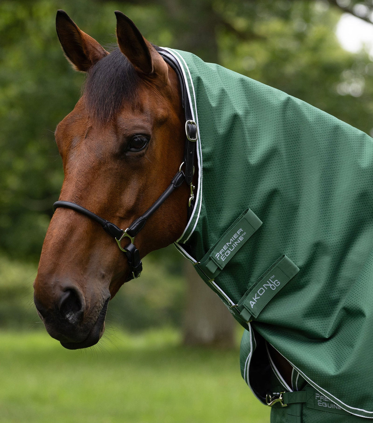 Premier Equine Akoni 0g Turnout Rug with Classic Neck Cover - Nags Essentials