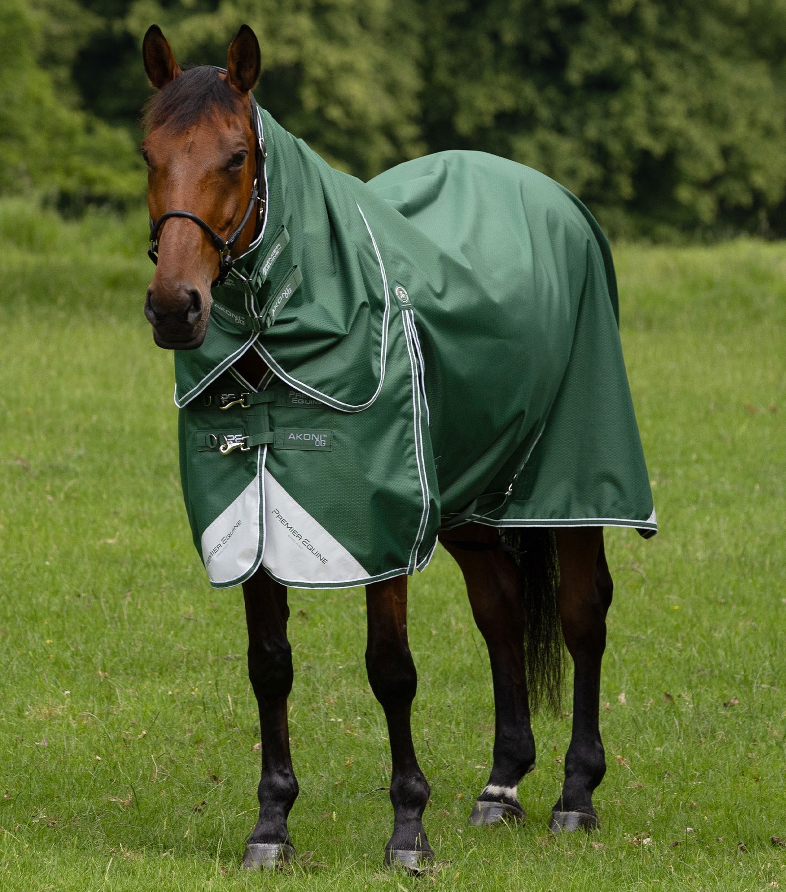 Premier Equine Akoni 0g Turnout Rug with Classic Neck Cover - Nags Essentials