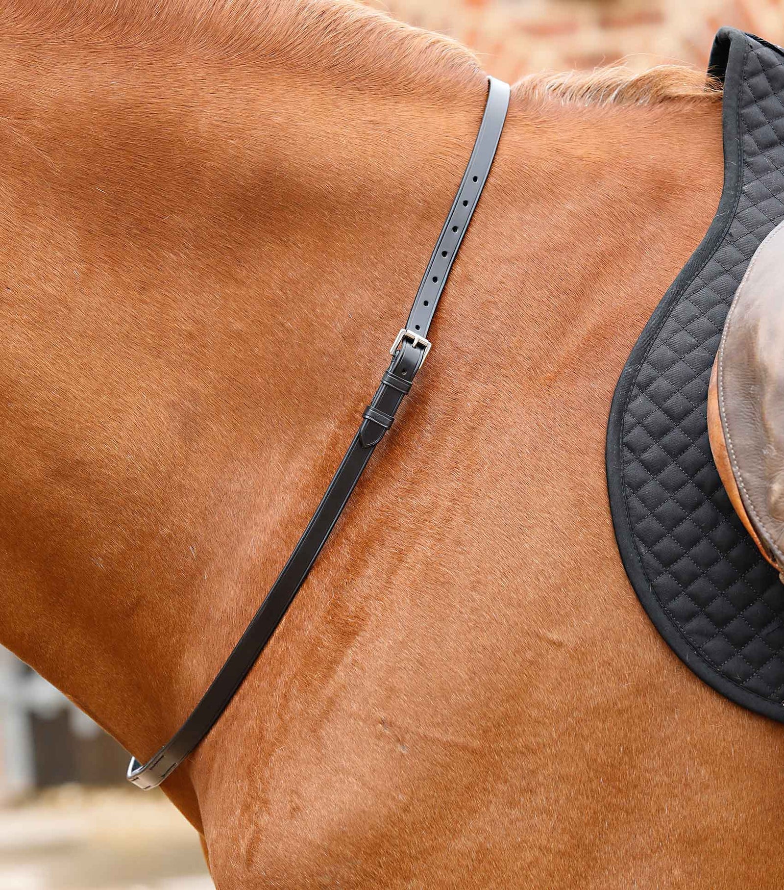 Premier Equine Altino Horse Neck Strap - Nags Essentials