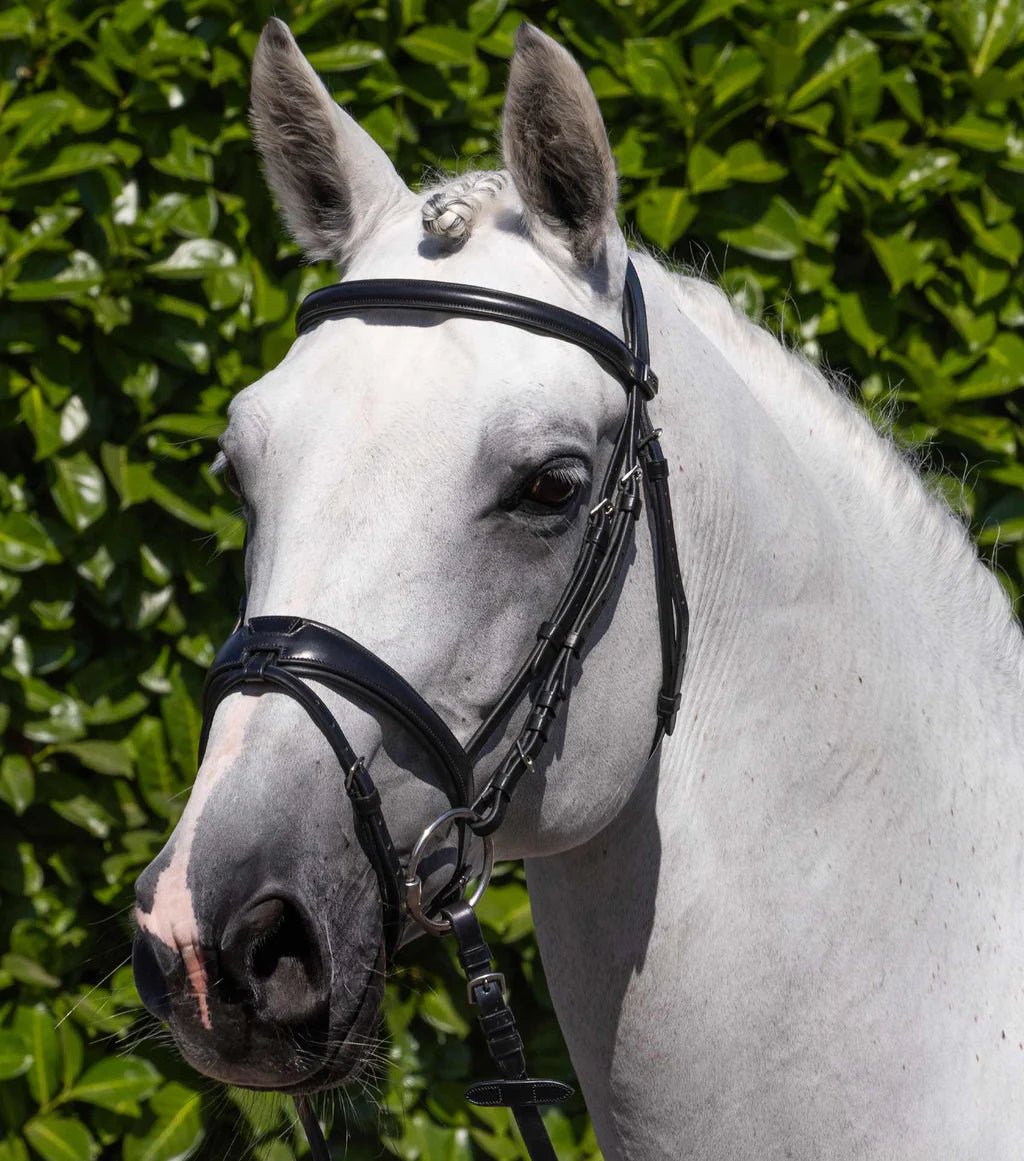 Premier Equine Artana Snaffle Bridle - Nags Essentials