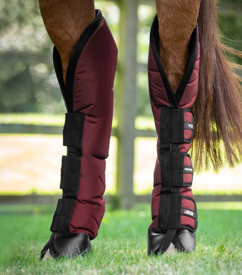 Premier Equine Ballistic Knee Pro-Tech Horse Travel Boots - Nags Essentials