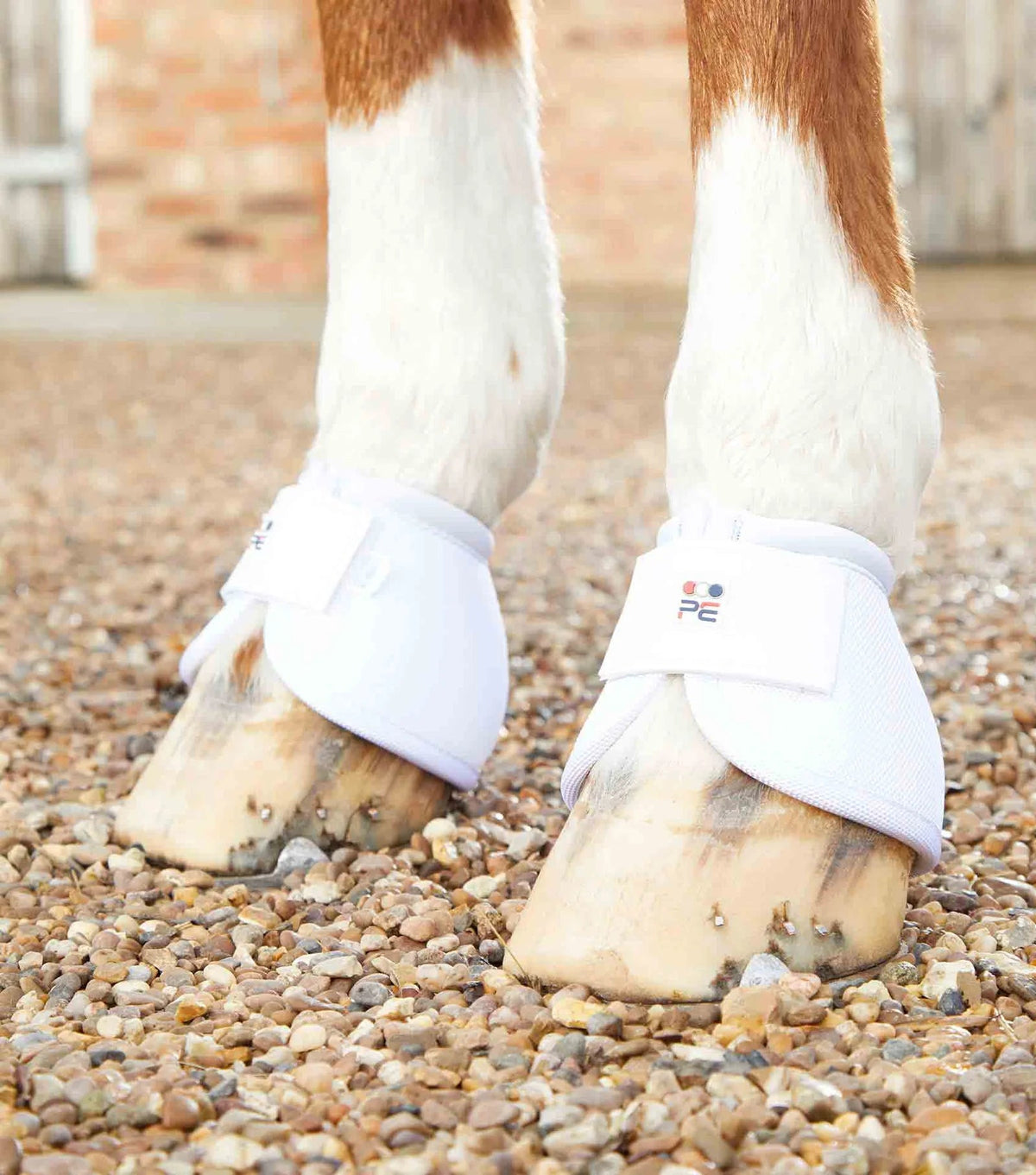 Premier Equine Ballistic No-Turn Over Reach Boots - Nags Essentials