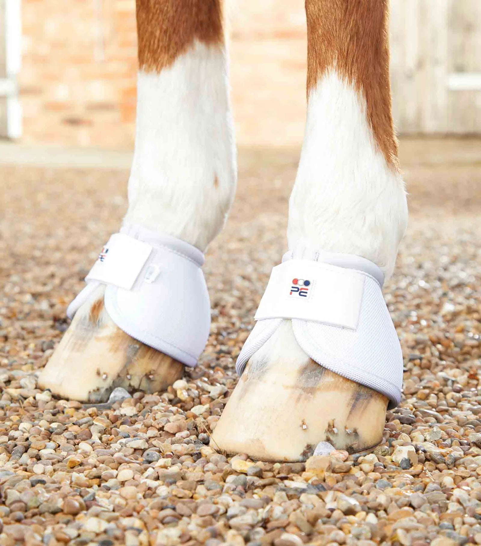 Premier Equine Ballistic No-Turn Over Reach Boots - Nags Essentials
